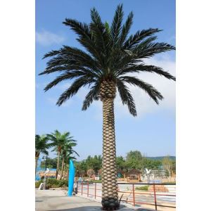 Підроблений канадський день пальмового дерева